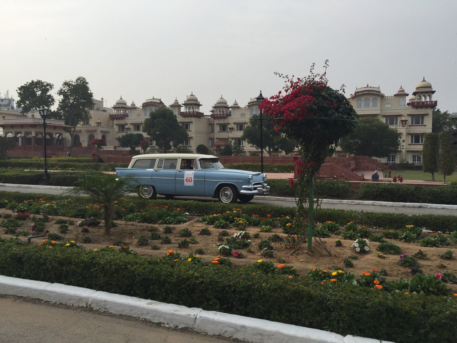 A 1950s classic car on the vintage car drive, passing the gardens of a palace in Jaipur
