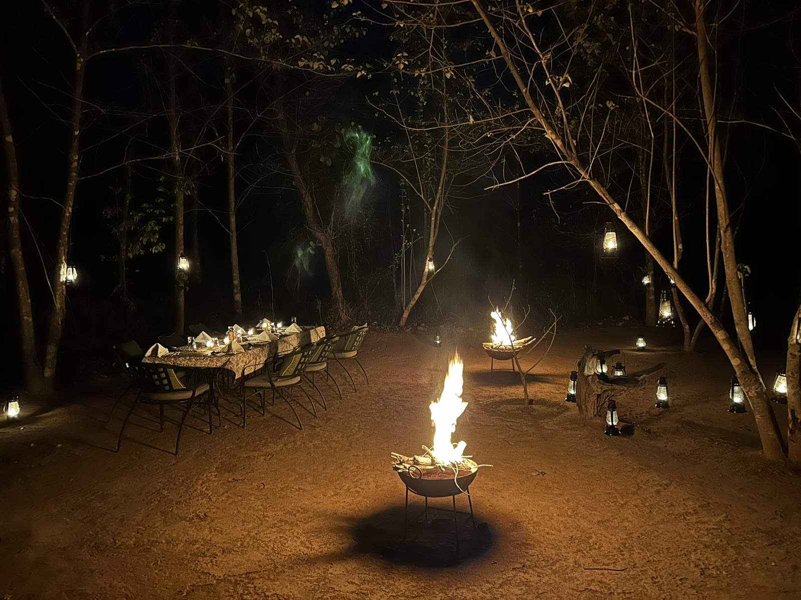 A private dinner beneath the trees at Ranthambore, lit by lanterns and fire bowls