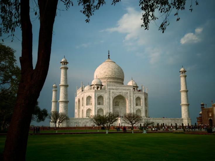 The Taj Mahal framed by a tree across the lawns of its gardens, beneath a deep blue sky, Agra
