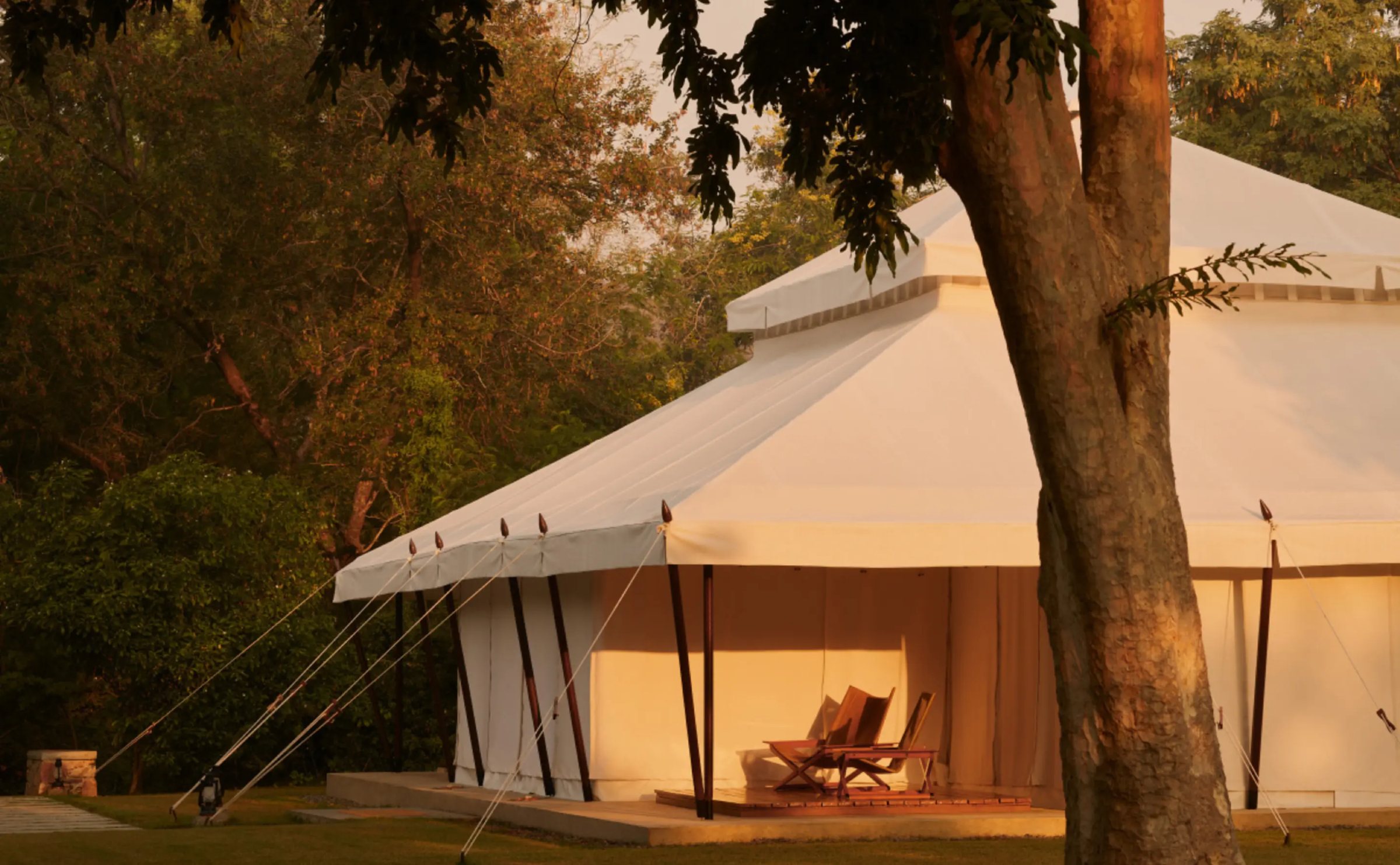 A canvas tent with its sundeck under a large tree at Aman-i-Khás