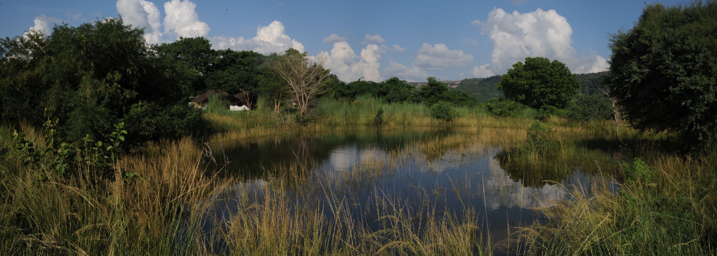 A lake fringed with reeds and forest in the grounds of Khem Vilas