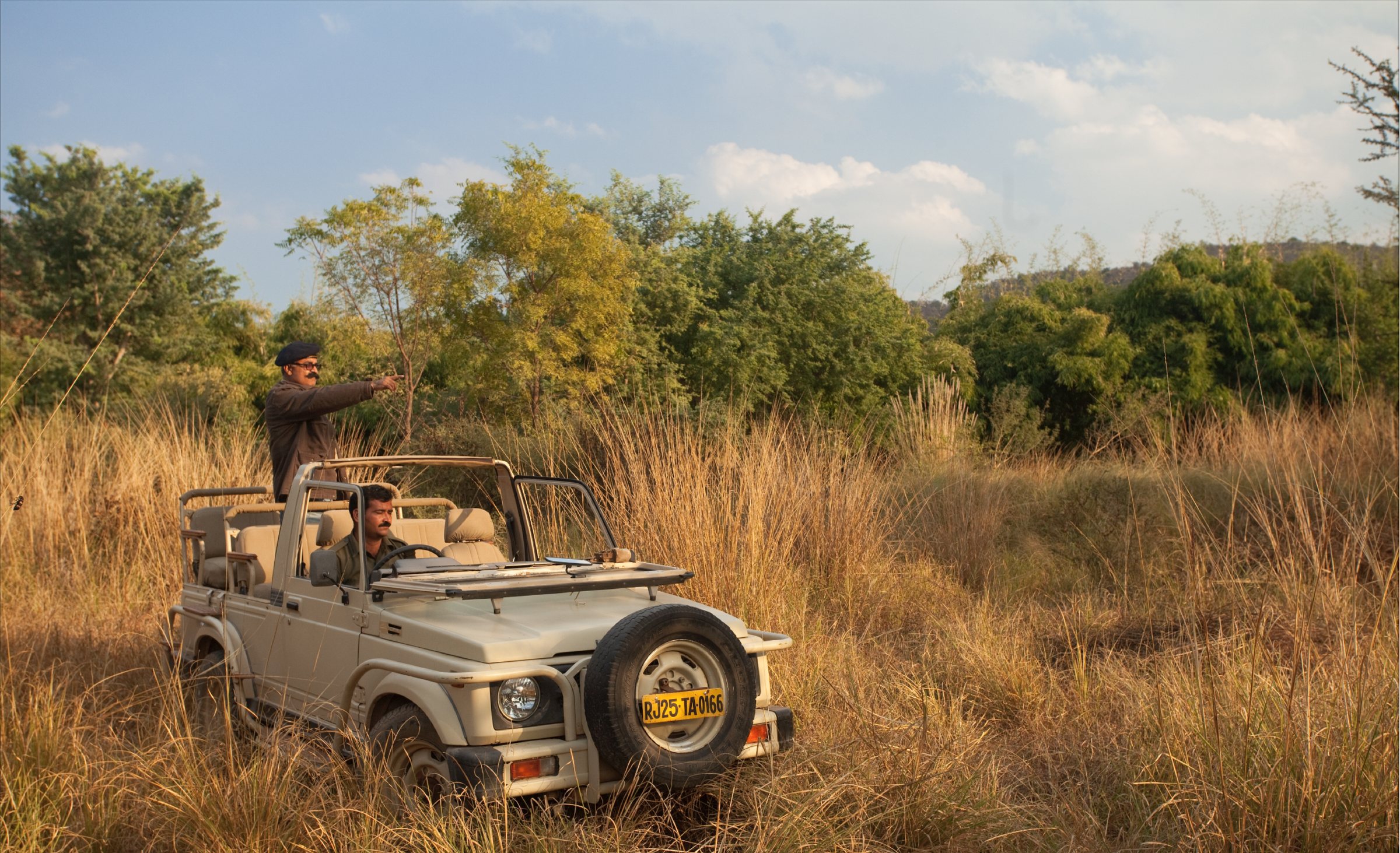 An open safari jeep in tall golden grass