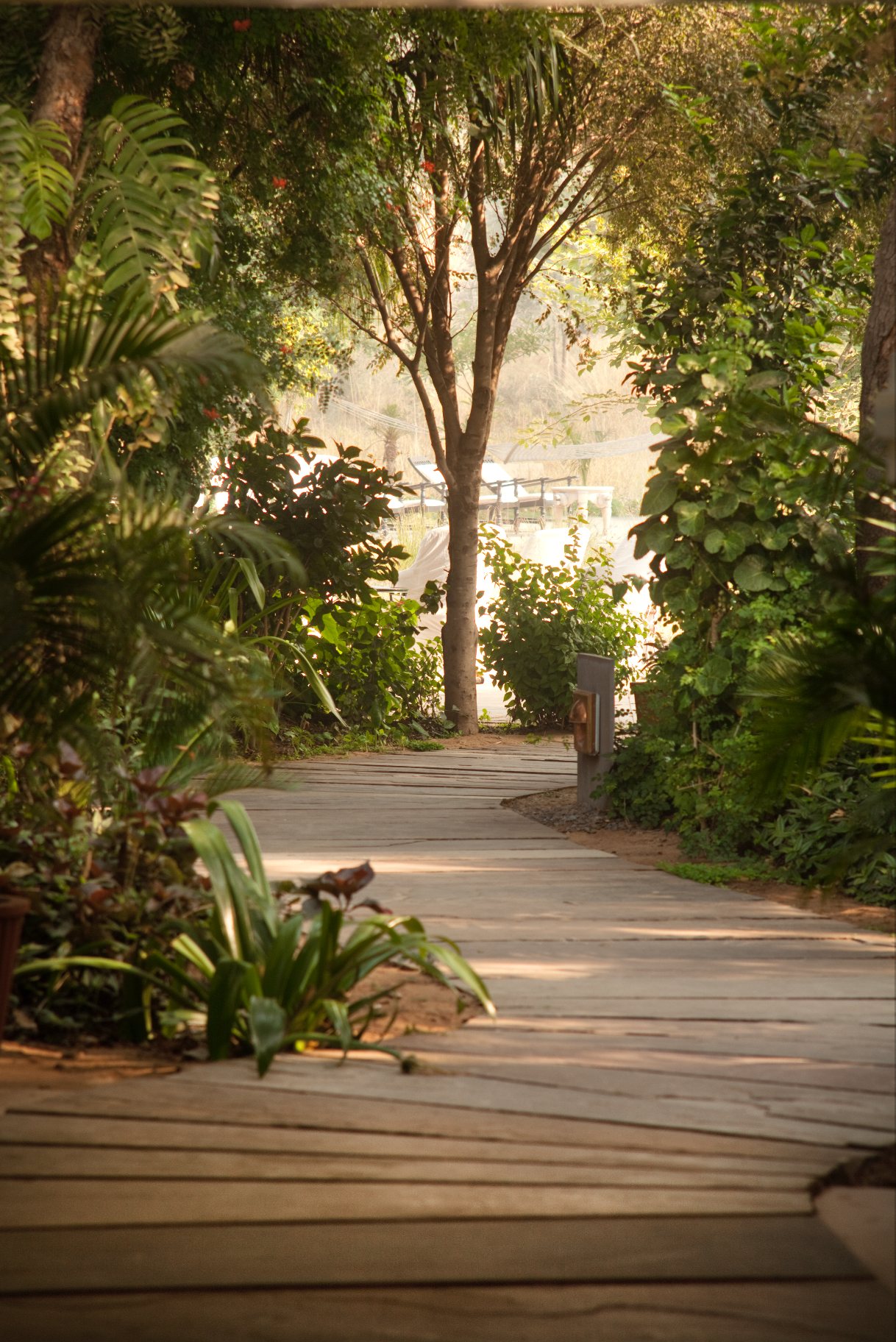 A shaded wooden walkway through the gardens of Khem Vilas