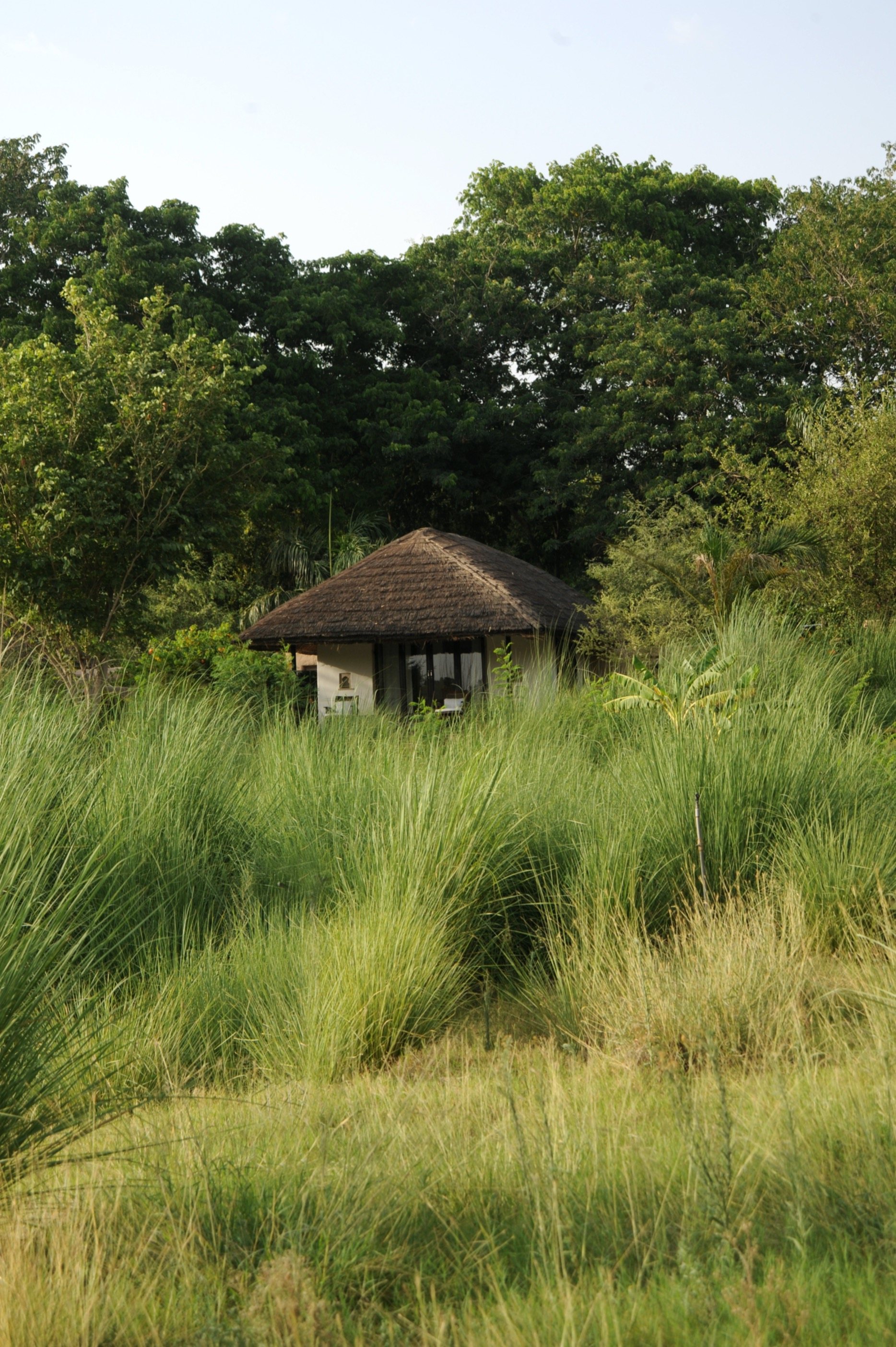 A thatched cottage half hidden in tall grass at Khem Vilas