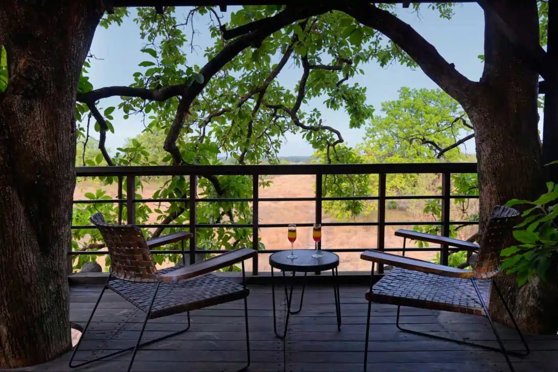 A treehouse verandah with chairs under the branches at Pench Tree Lodge