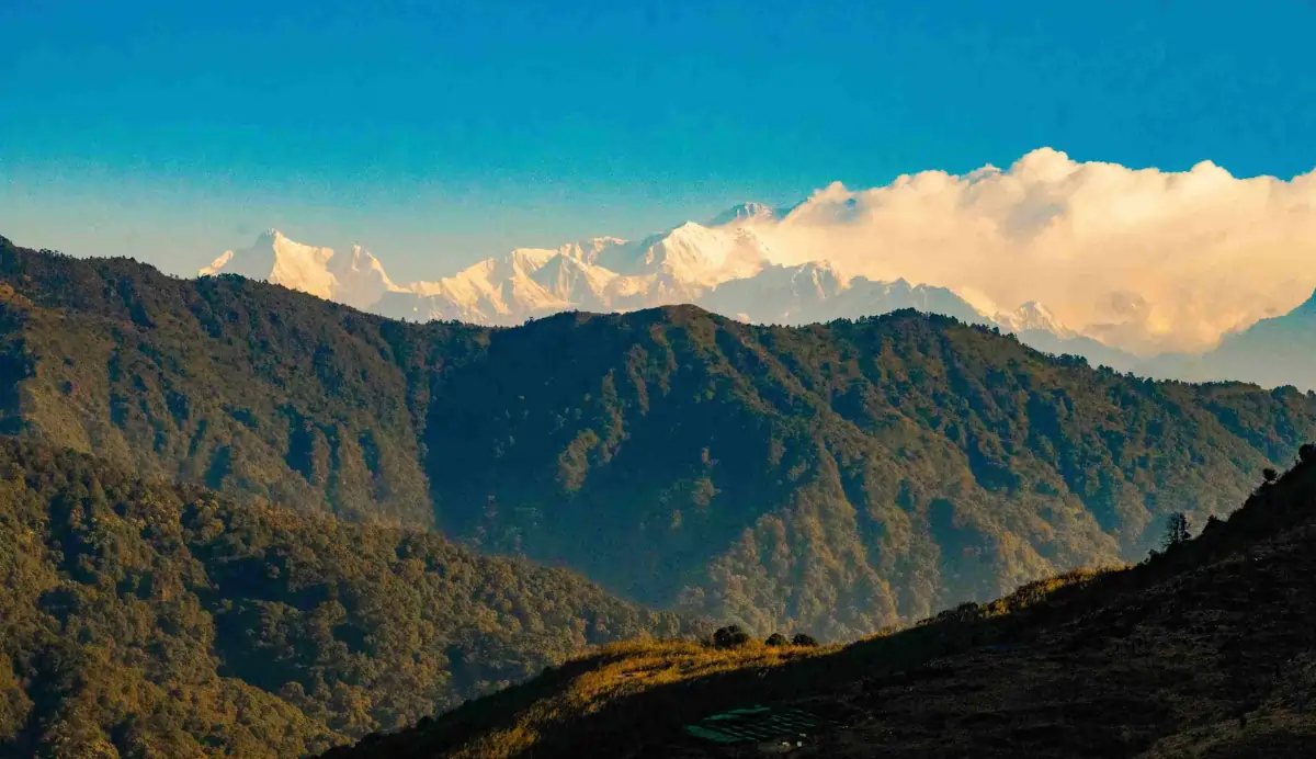 Snow-capped Himalayan peaks above forested ridges