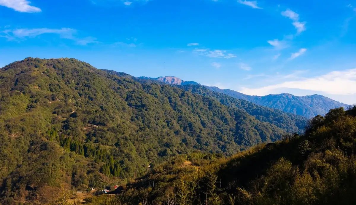 Forested hills under a blue sky