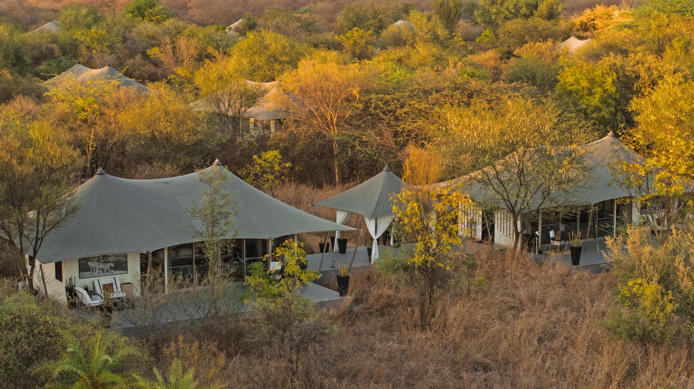 Canvas tents among autumn-coloured trees at Sujan Jawai