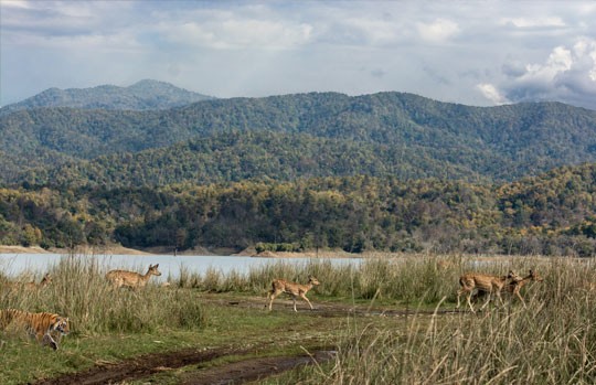River valley and forested hills of Jim Corbett National Park