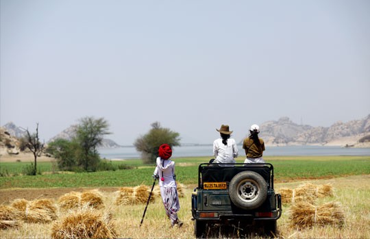 Safari jeep beside farmland with the Jawai hills behind