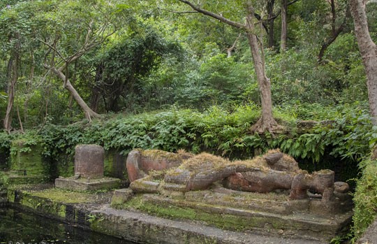 Shesh Shaiya, the reclining stone Vishnu in the forest at Bandhavgarh