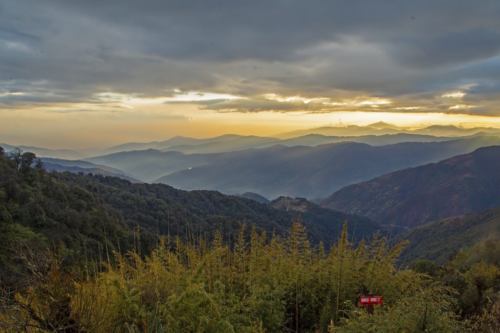 View over forested ridges at dusk from the Singalila Ridge